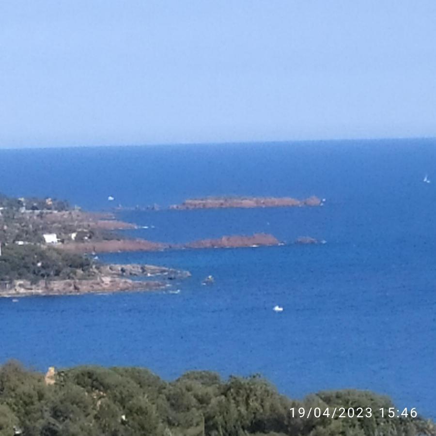 Studio 4P Vue Mer Calme Cap Esterel Saint-Raphaël المظهر الخارجي الصورة