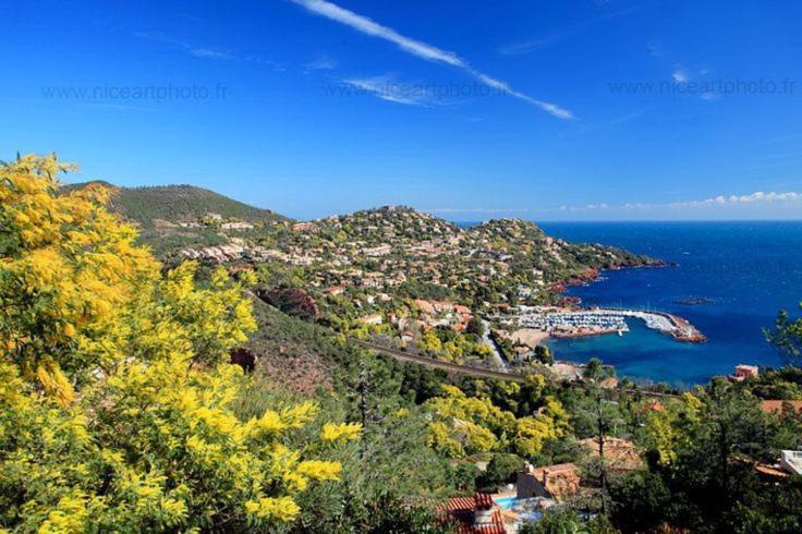 Studio 4P Vue Mer Calme Cap Esterel Saint-Raphaël المظهر الخارجي الصورة
